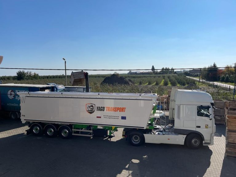 Изображение WhatsApp 2023-06-06 в 20.11.35