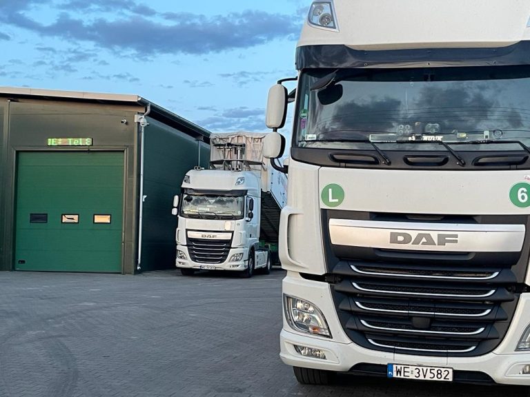 Изображение WhatsApp 2056723-06-06 в 20.11.26